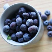 frozen blueberry order